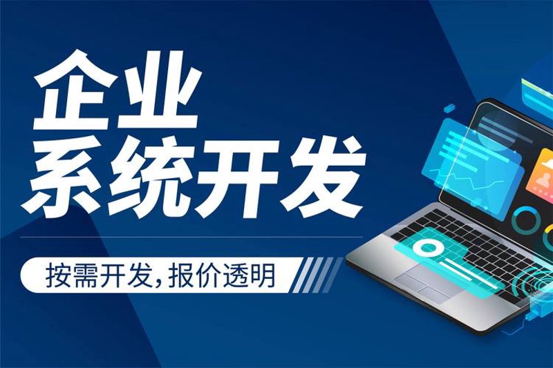 定制化系统：提升企业运营效率的新引擎