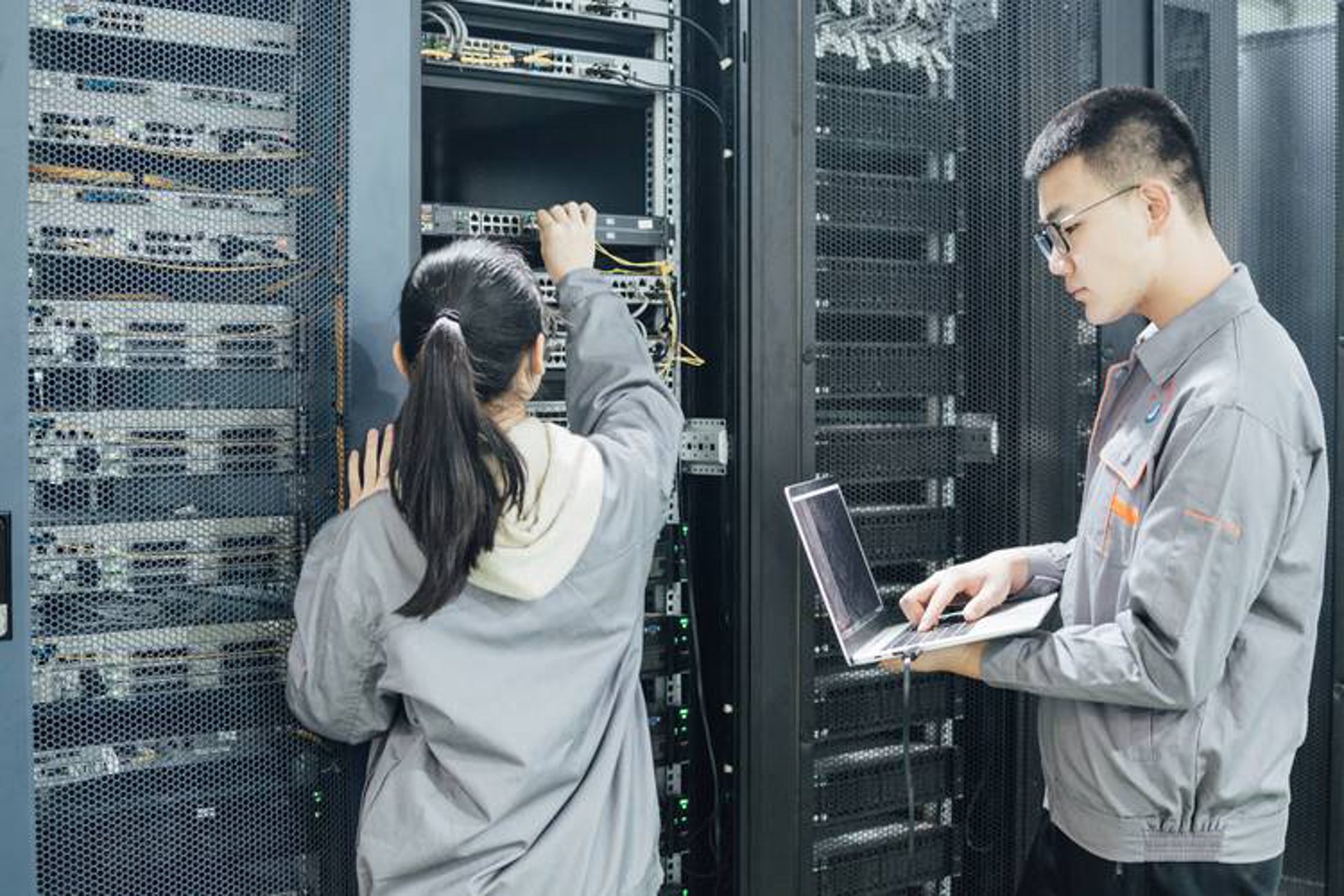 楠泽网络科技