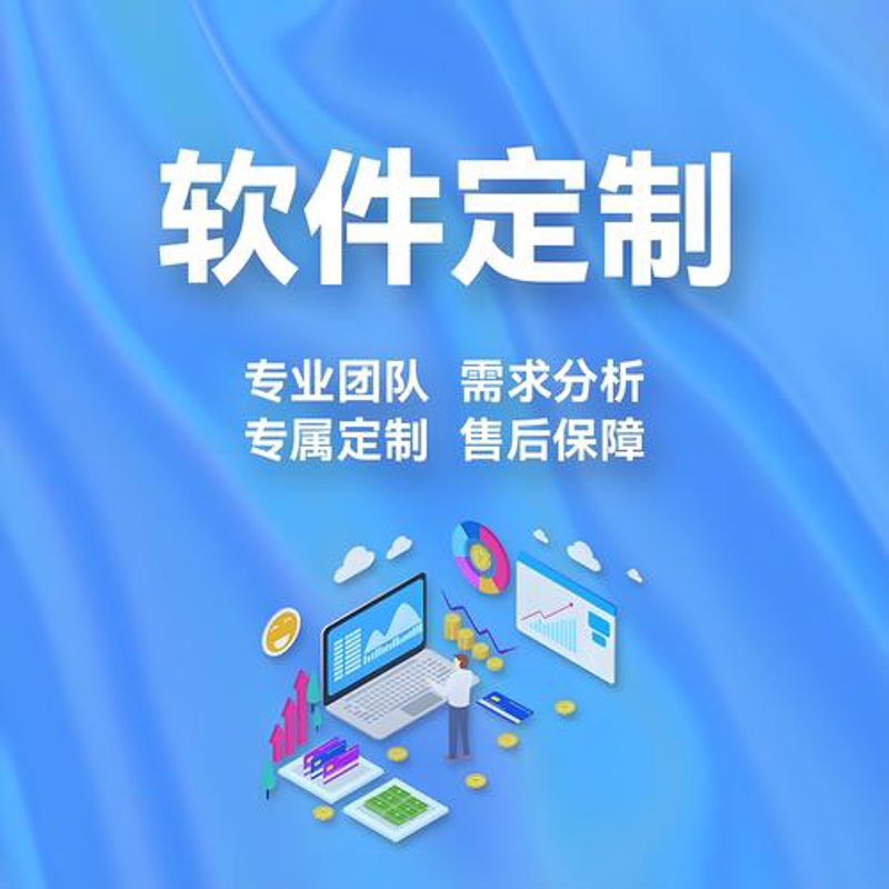 系统定制：开启企业信息化的新篇章